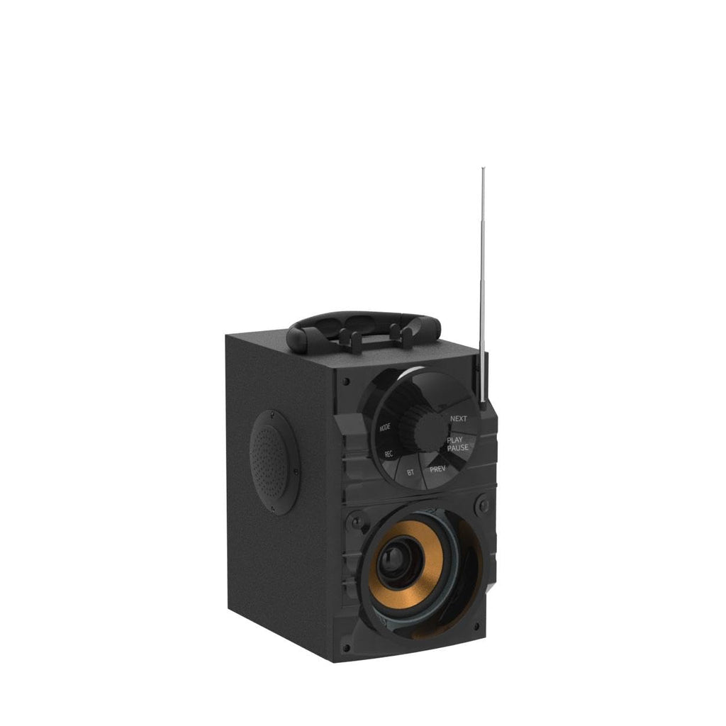 Portable Big Bluetooth Speakers with Light, Wireless with Subwoofer, FM Radio, LED Lights, EQ, Booming Bass, Bluetooth 4.2 Stereo Loud Outdoor/Indoor Retro, for Home, Camping, Travel, Black B7614