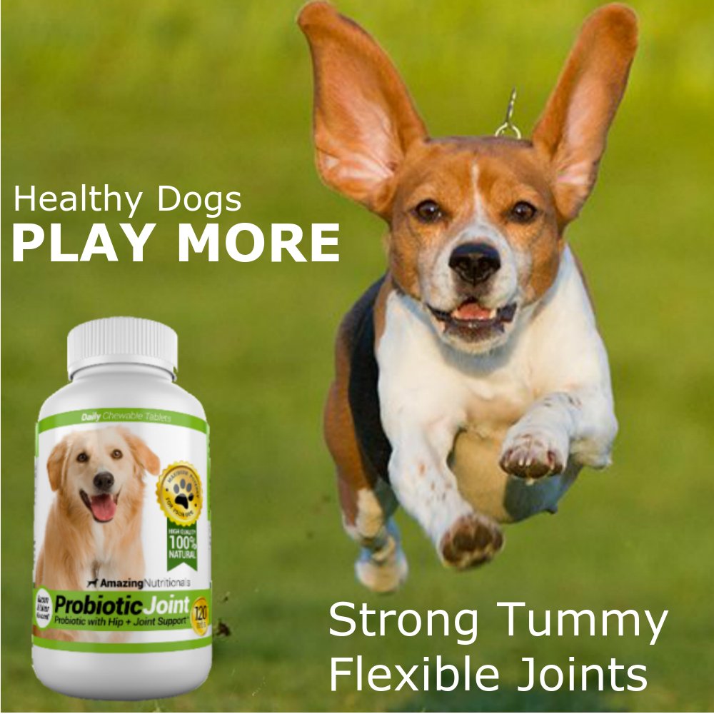 Probiotics for Dogs 120 Chews J5330