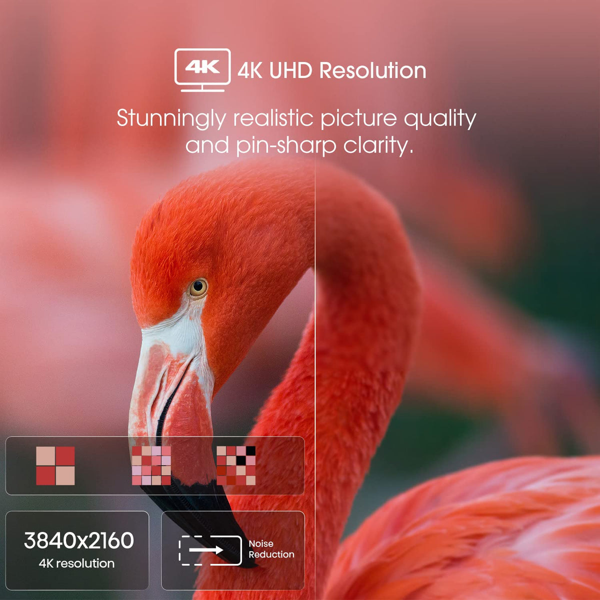 55-Inch 4K UHD Smart Google TV G20372