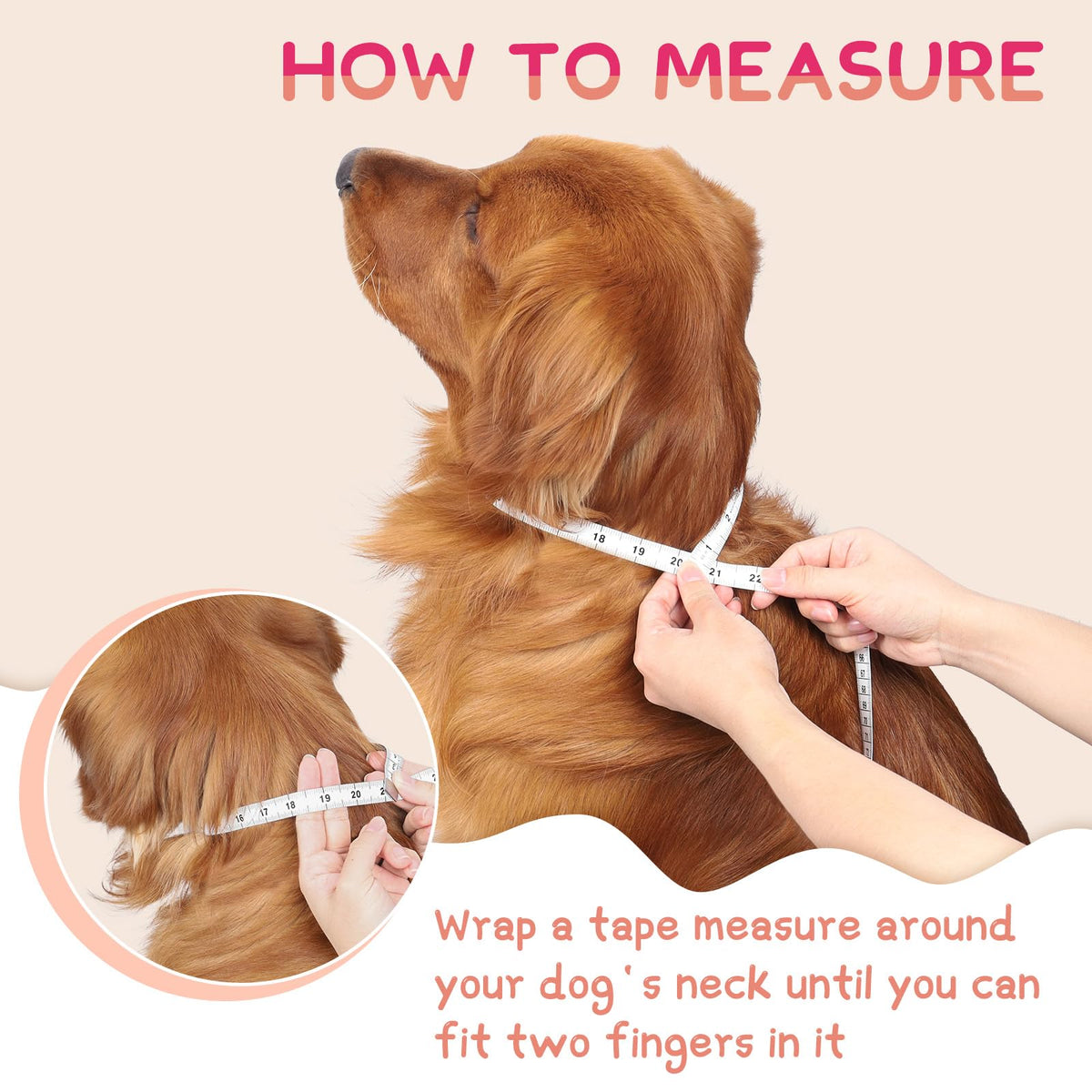 Inflatable Dog Cone Collar U831