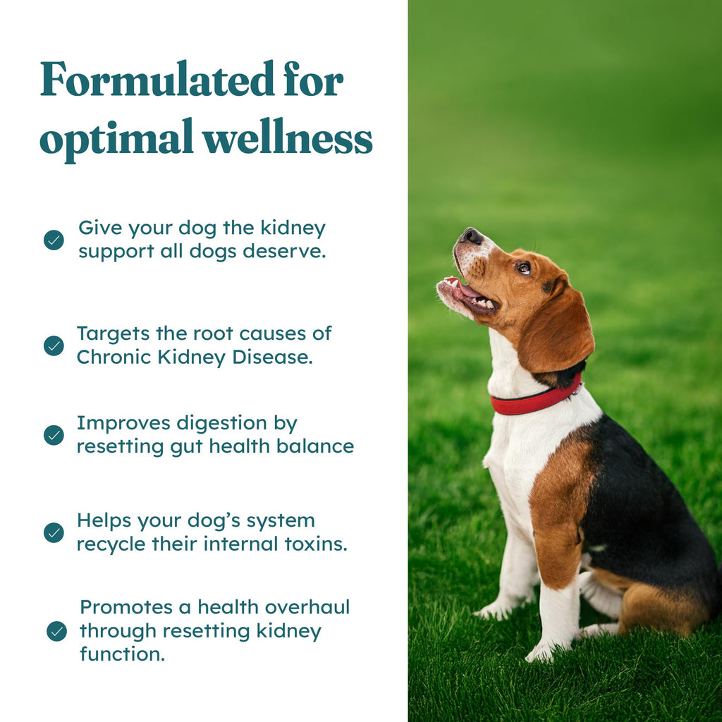 30 Soft Chews Pork Flavor Kidney Supplement for Dogs M836