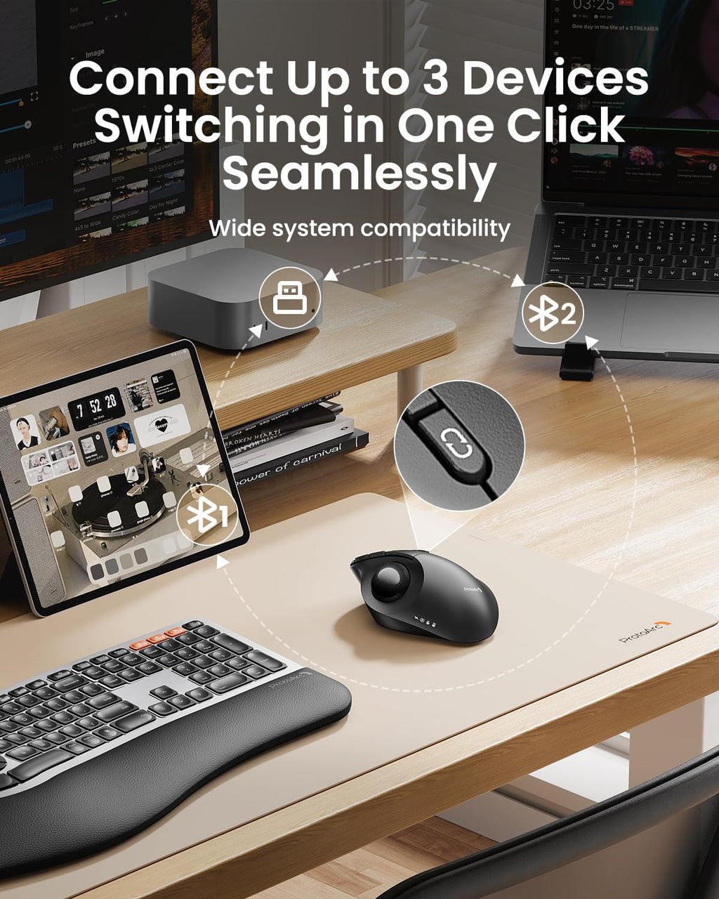 Wireless Trackball Mouse, Adjustable Angle, Gray R684