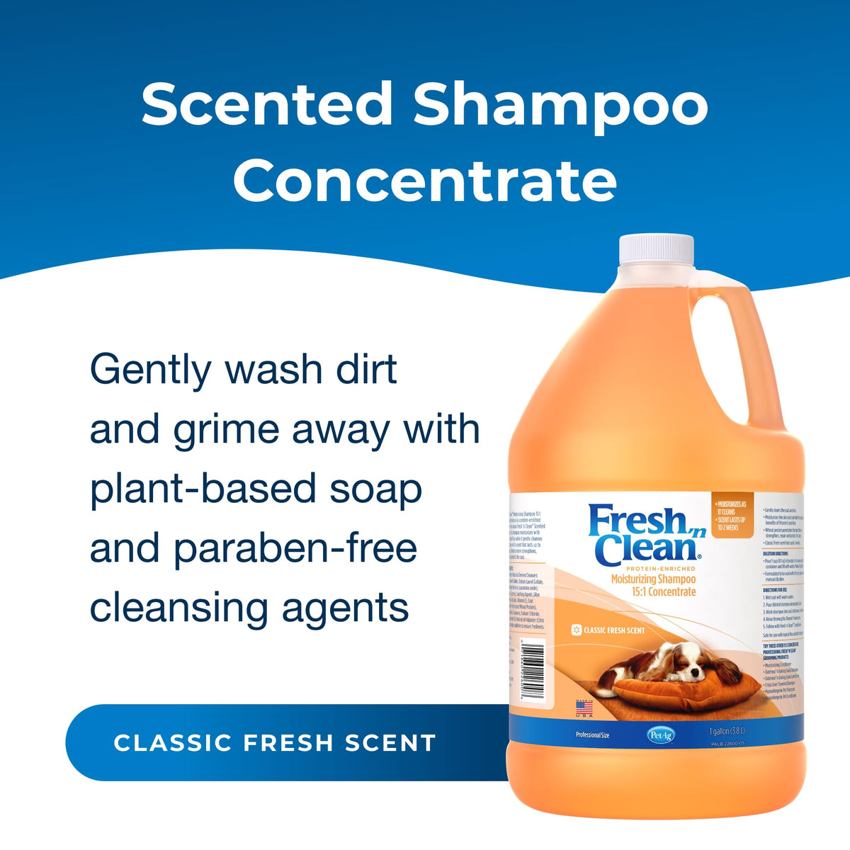 Moisturizing Shampoo with Vitamin E & Aloe Vera Y3317