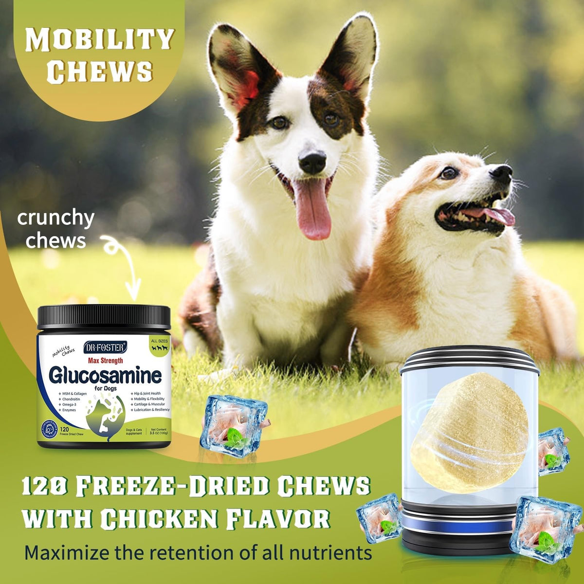 Glucosamine for Dogs Chicken Flavor 120 Freeze-Dried Chews S99878