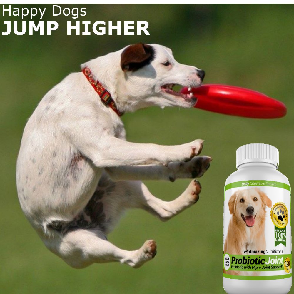 Probiotics for Dogs 120 Chews J5330