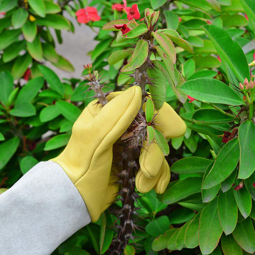 Long Leather Gardening Gloves with Adjustable Cuff V398162