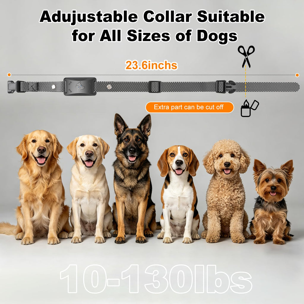 Wireless Dog Fence W6737