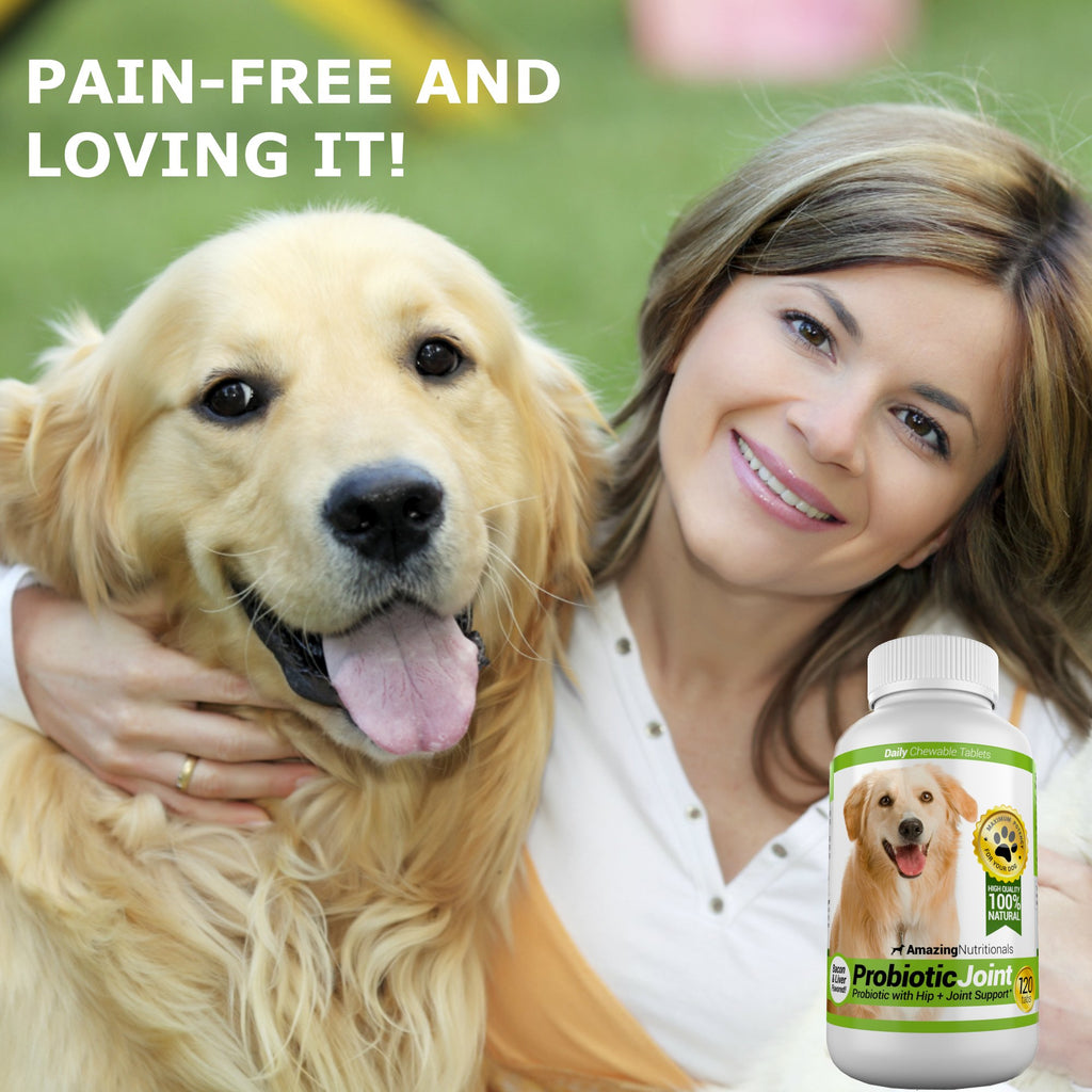 Probiotics for Dogs 120 Chews J5330