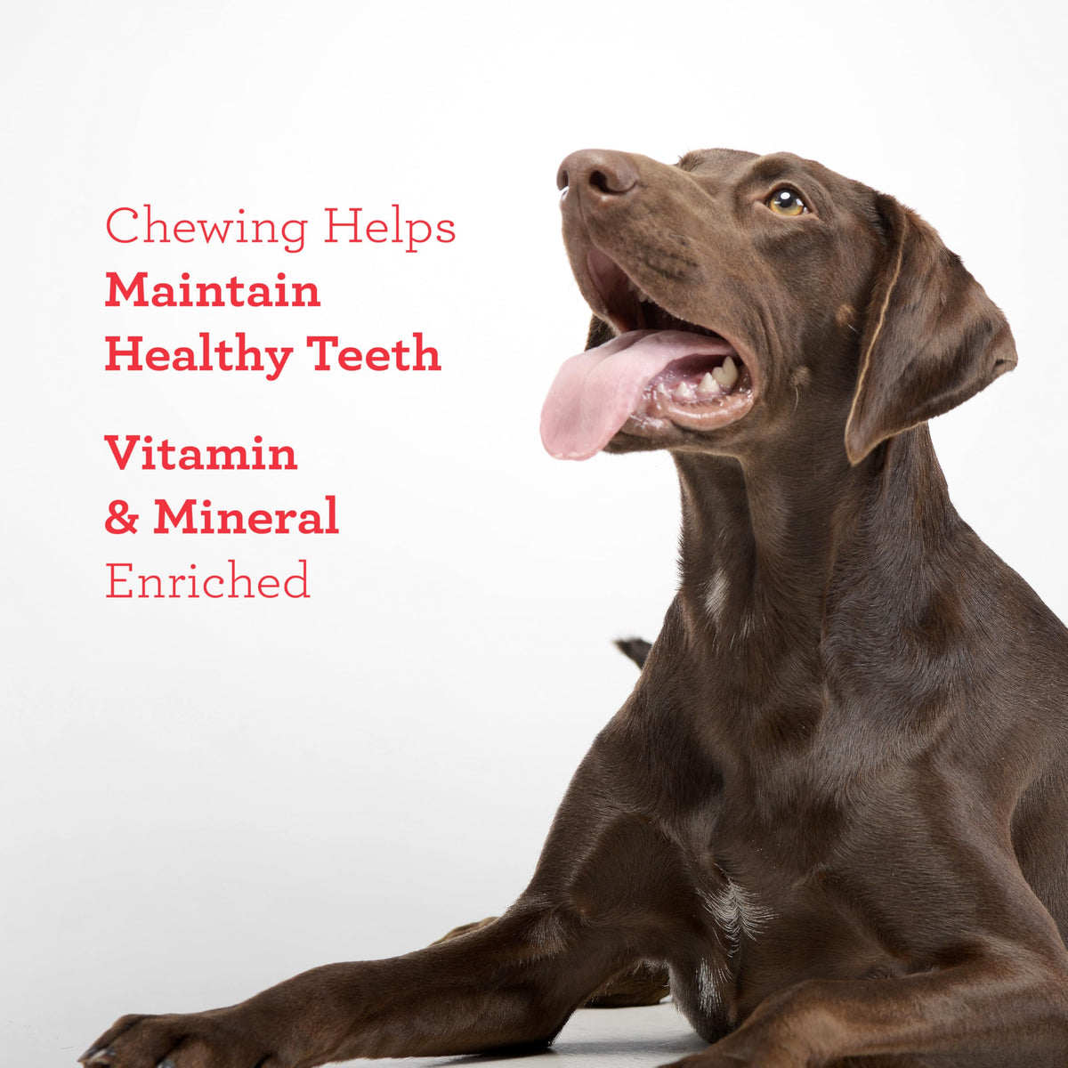 Sirloin Dog Treats 15 Count V2911