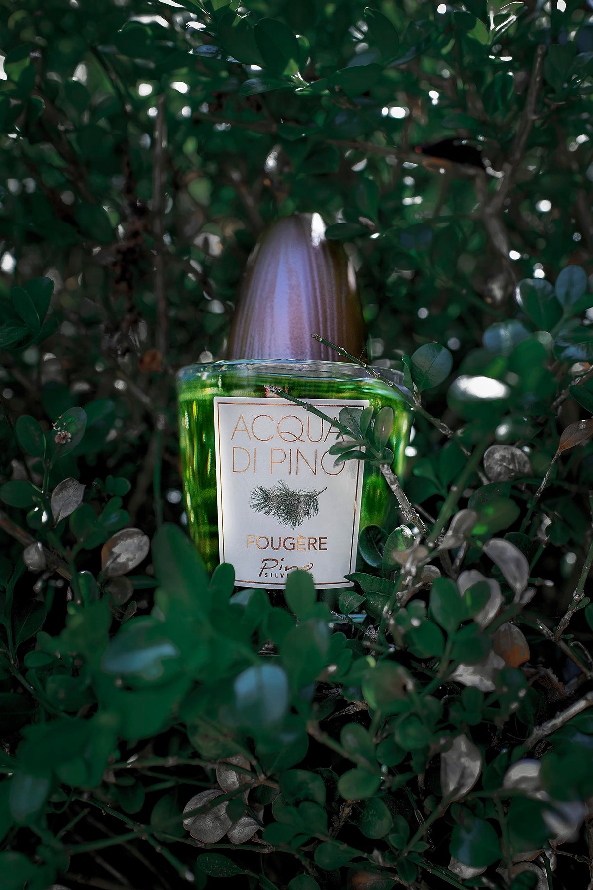 Eau De Toilette Cologne Spray 4.2 Oz Z2538