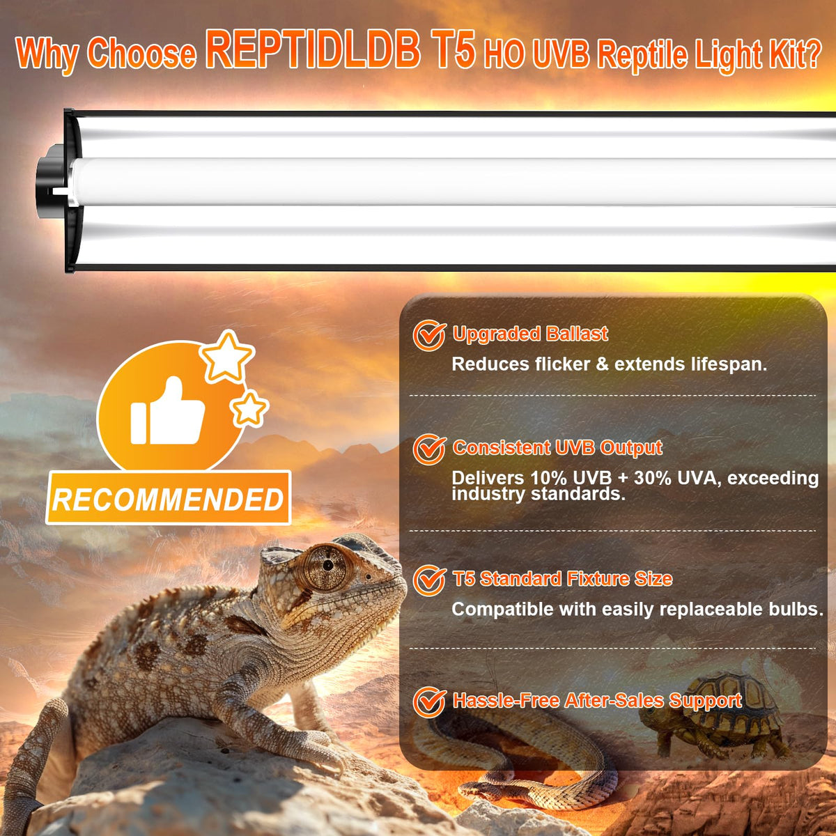 24W T5 UVB Reptile Light Fixture 22" with 2 Pack 24W UVB Bulbs Q8550