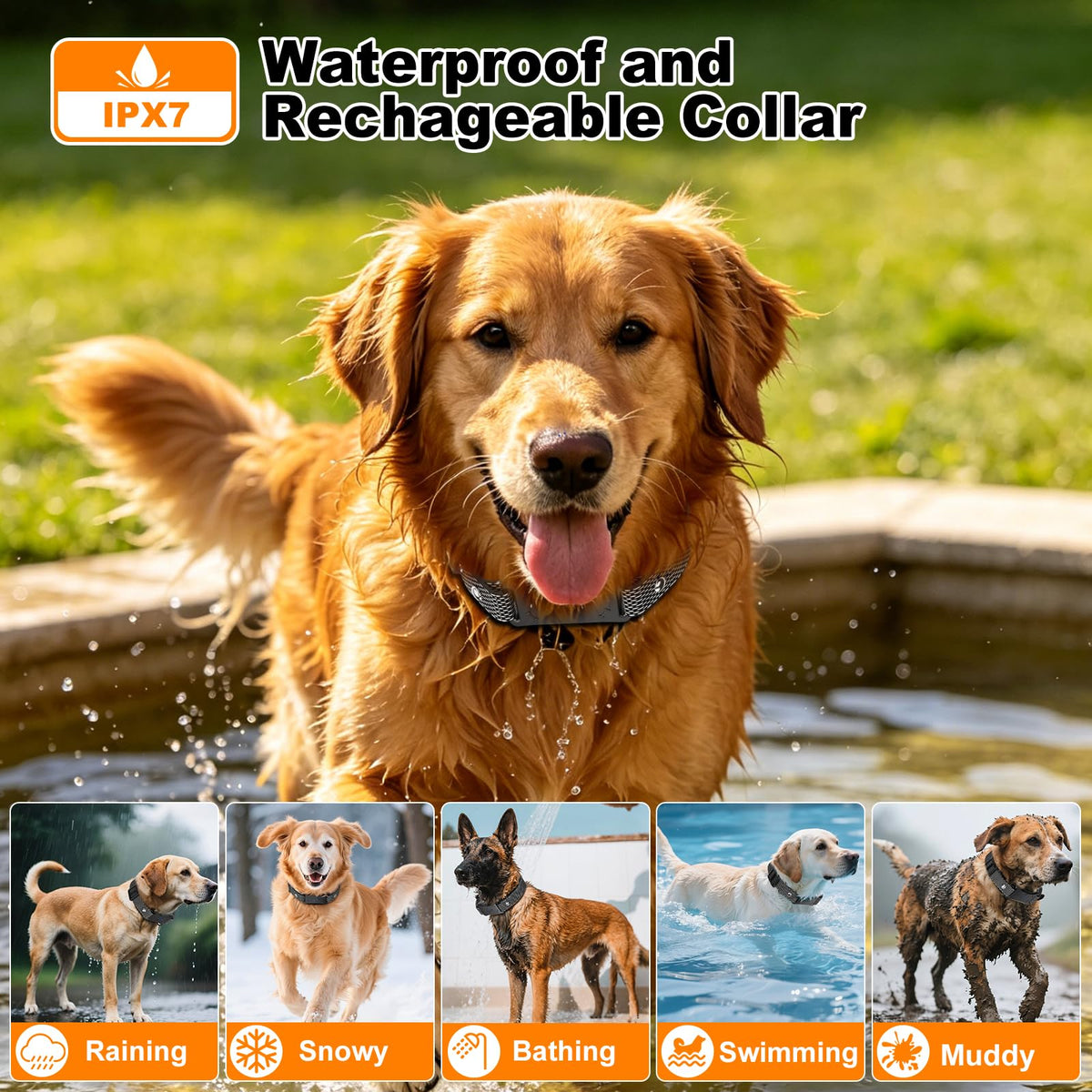 Wireless Dog Fence W6737