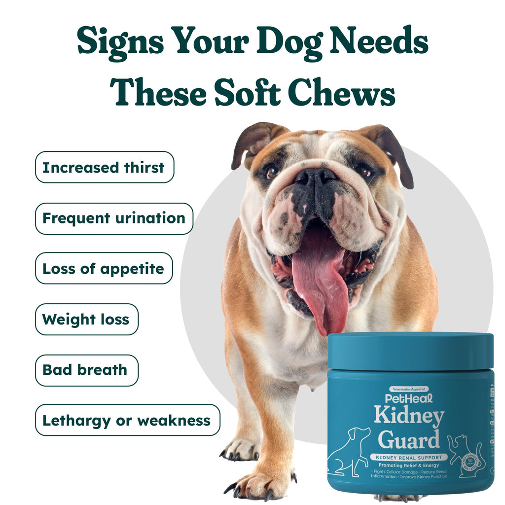 30 Soft Chews Pork Flavor Kidney Supplement for Dogs M836