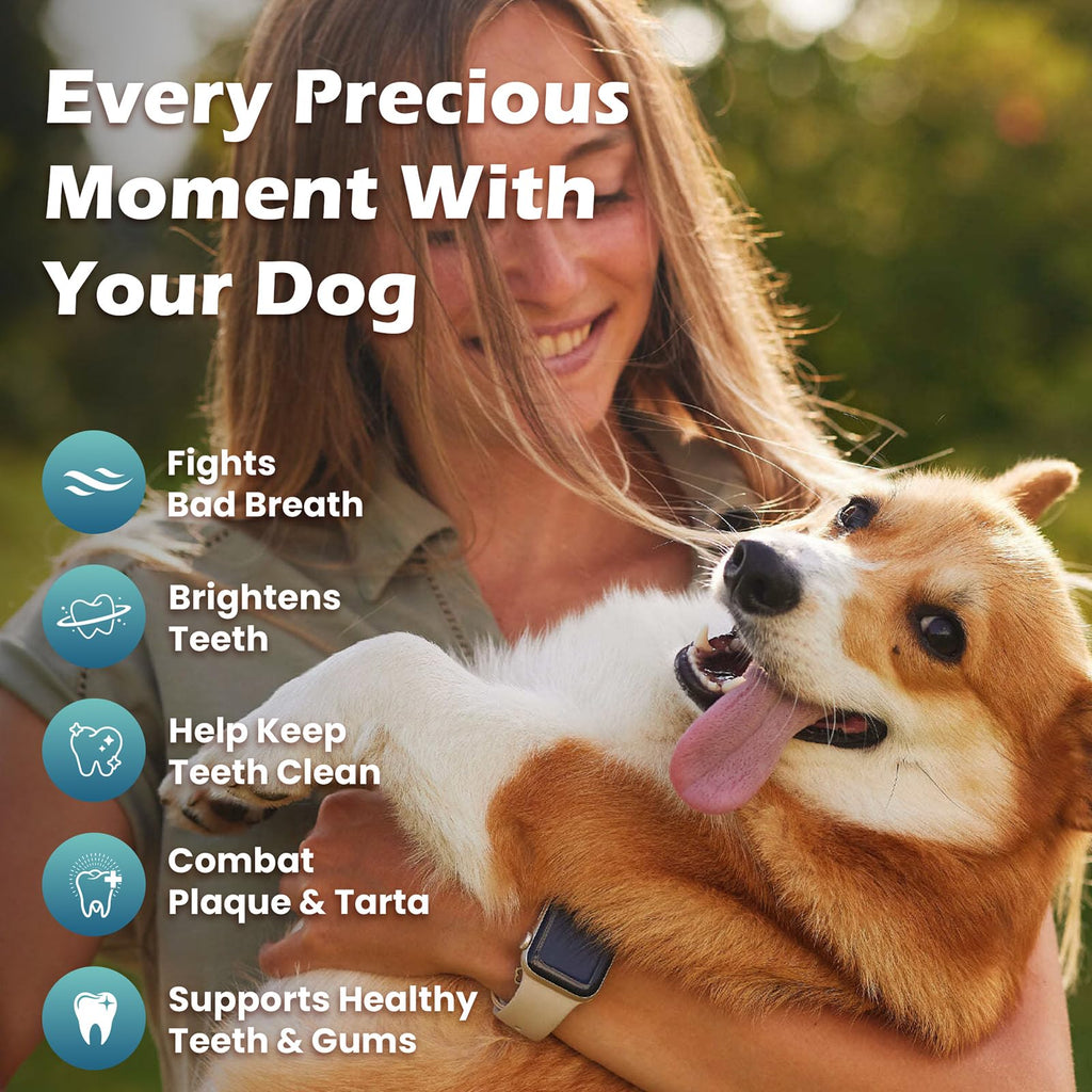Dog Teeth Cleaning Powder, Dental Powder and Breath Freshener, 200 Grams B4676