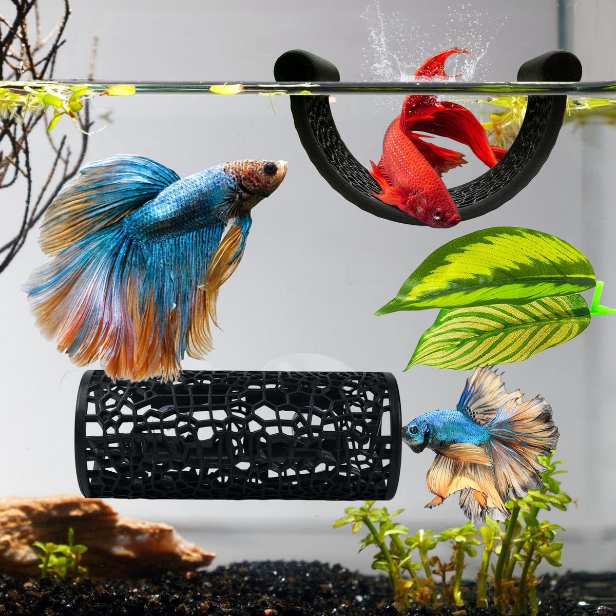Betta Hammock Set, Fish Tank Decor, Fish Hammock & Hide Tunnel Betta Leaf Pad X179611