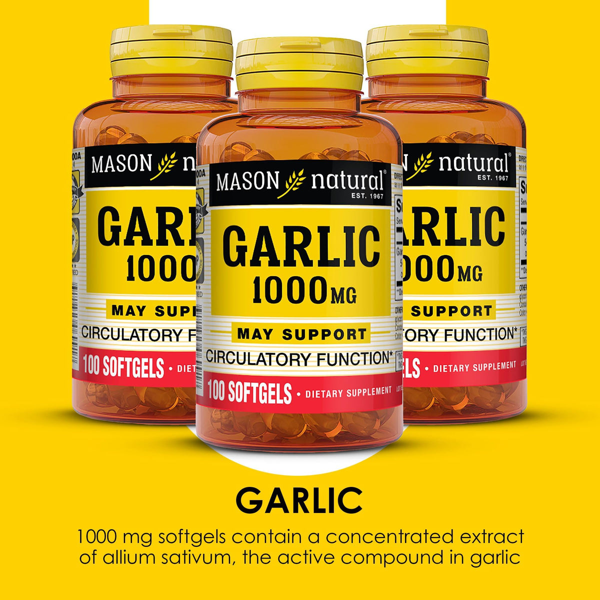Garlic Oil 300 Day Supply Softgels 3 Pack H6771