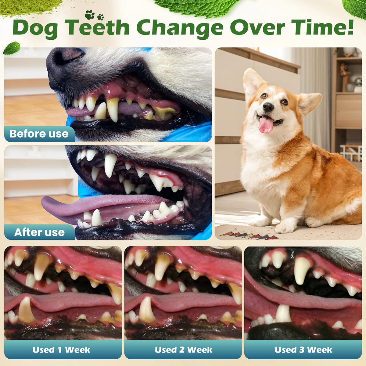 Dog Teeth Cleaning Powder, Dental Powder and Breath Freshener, 200 Grams B4676