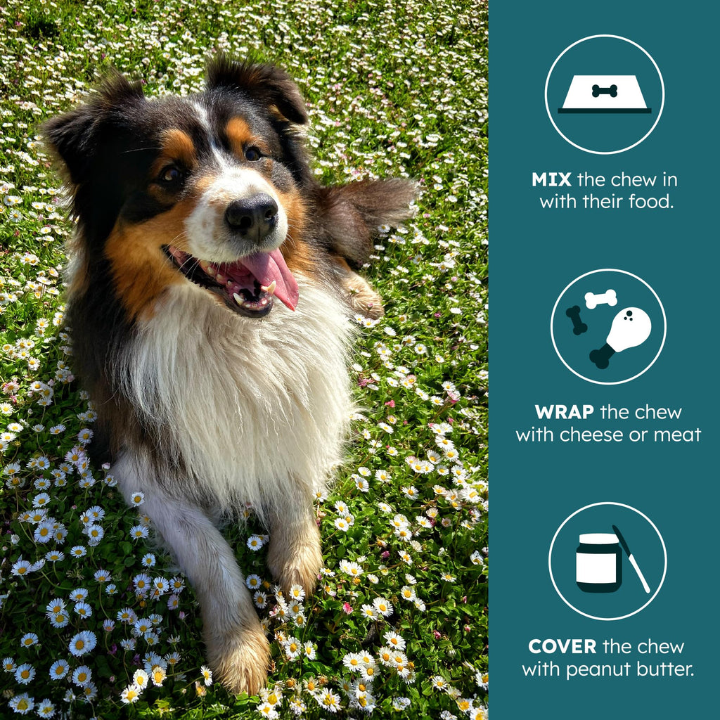 30 Soft Chews Pork Flavor Kidney Supplement for Dogs M836